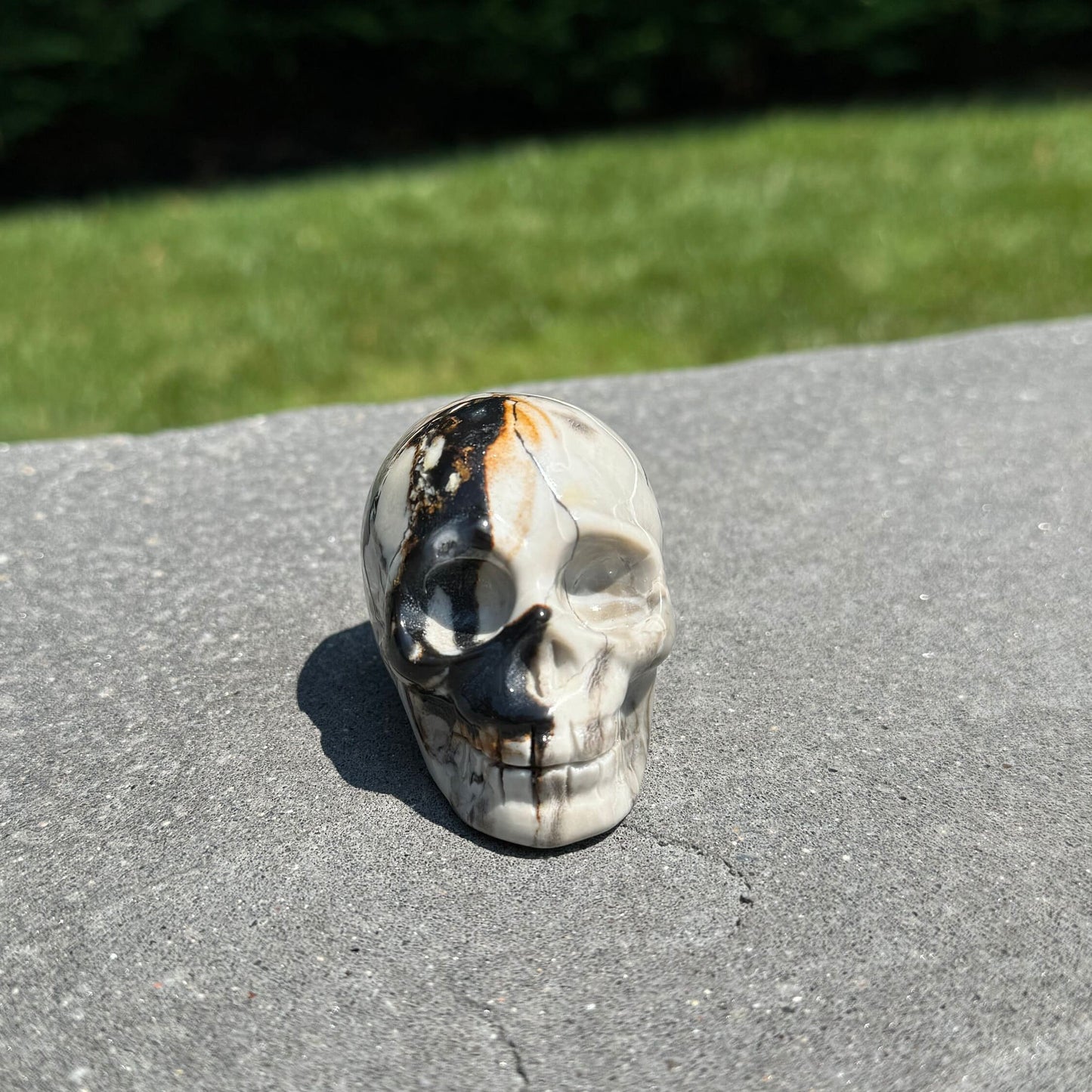 Chocolate Calcite Skull Carving