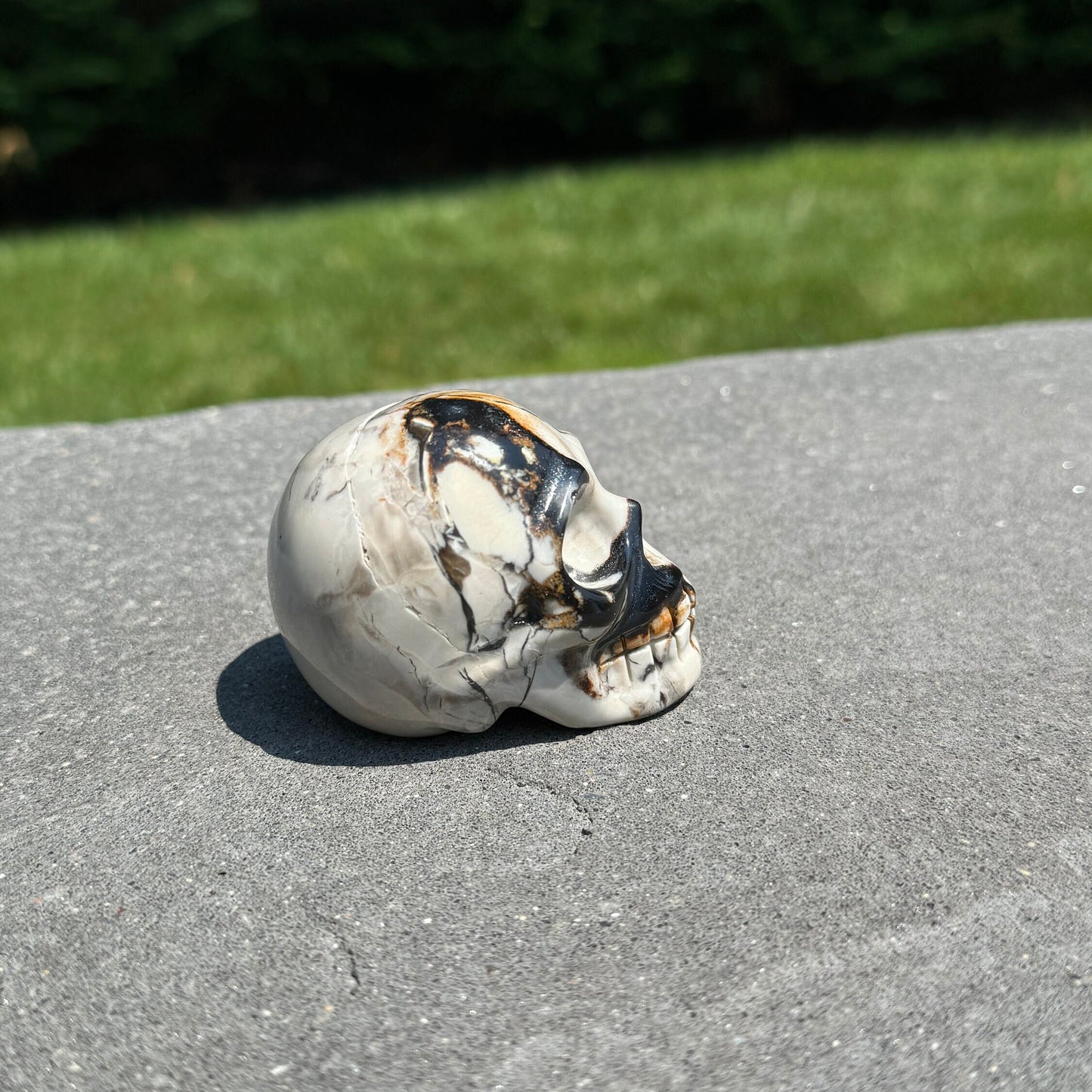 Chocolate Calcite Skull Carving
