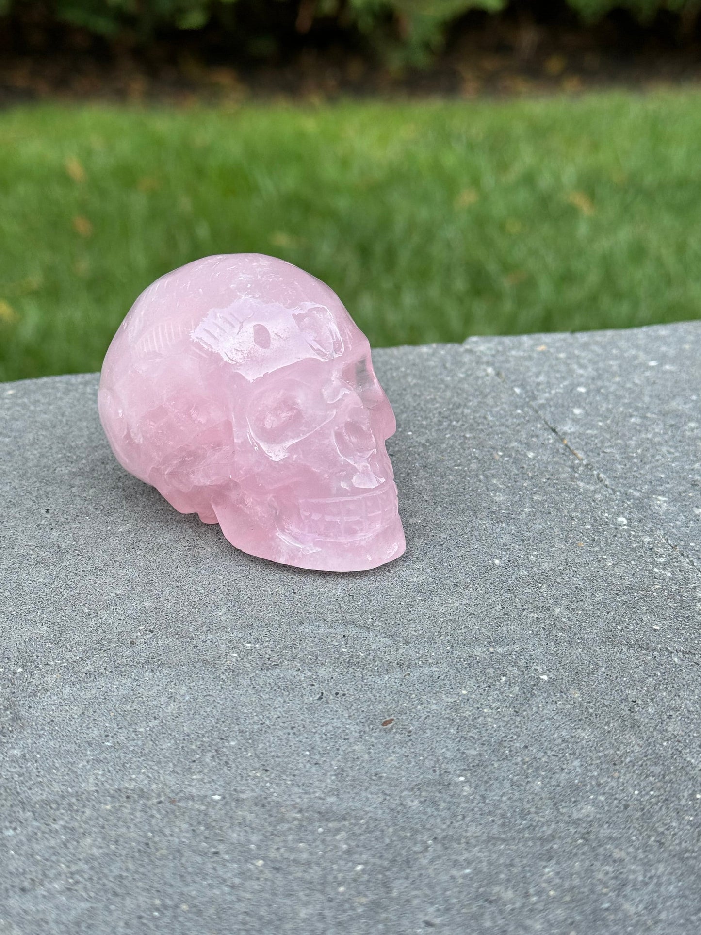 Rose Quartz Skull Carving (2.25")