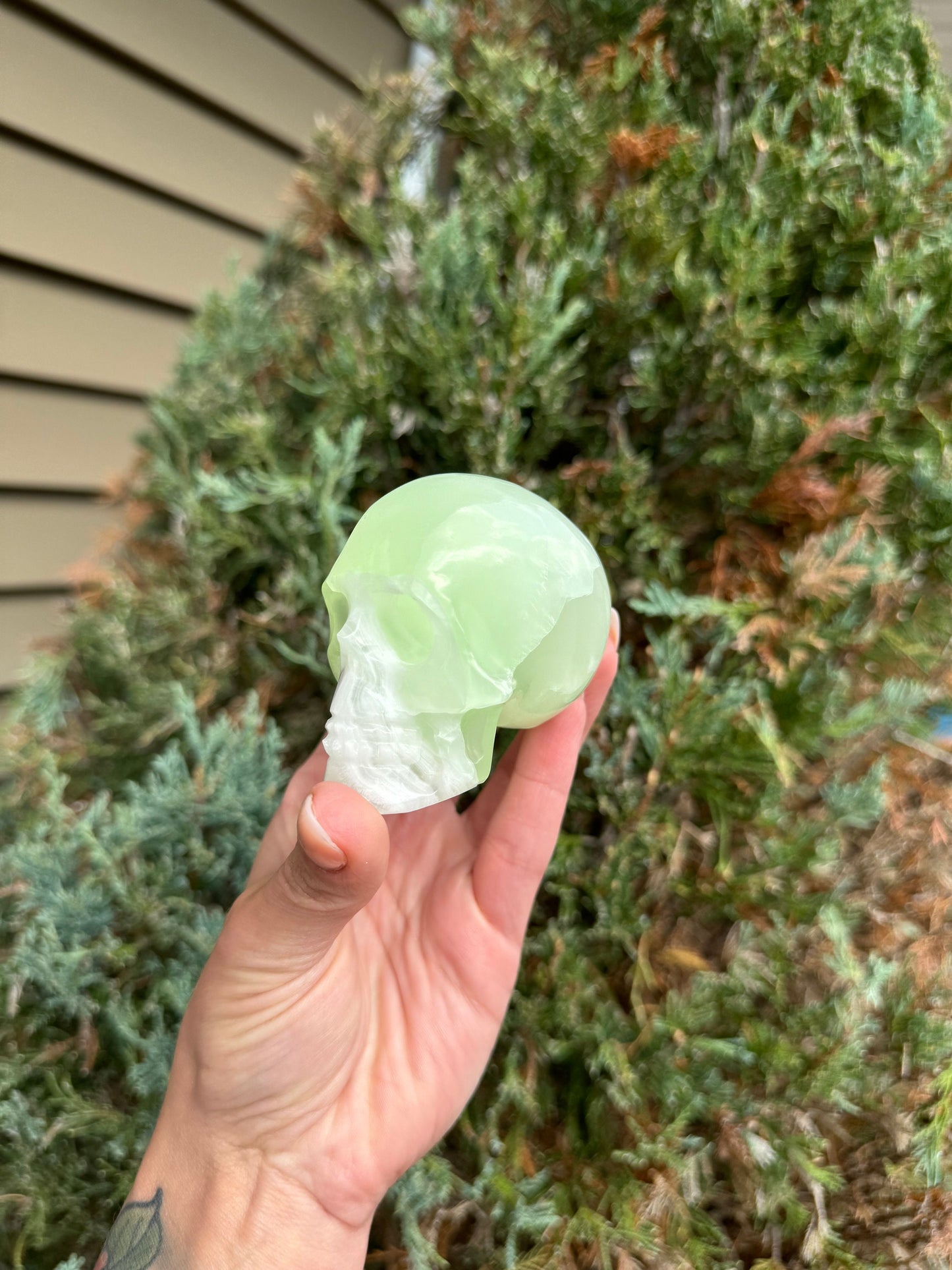 Banded Green Calcite Skull Carving