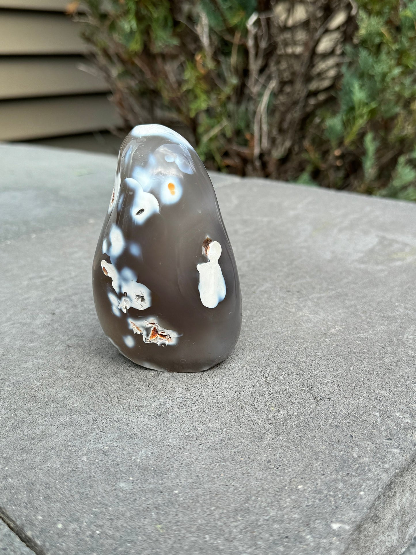 Druzy Orca Agate Freeform
