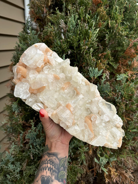 XL Diamond Apophyllite & Pink Stilbite Specimen (6.8lbs)