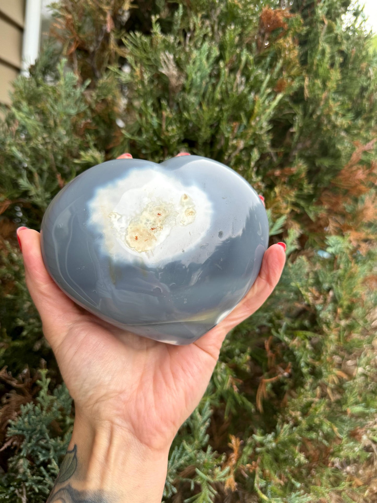 Orca Agate Heart Carving