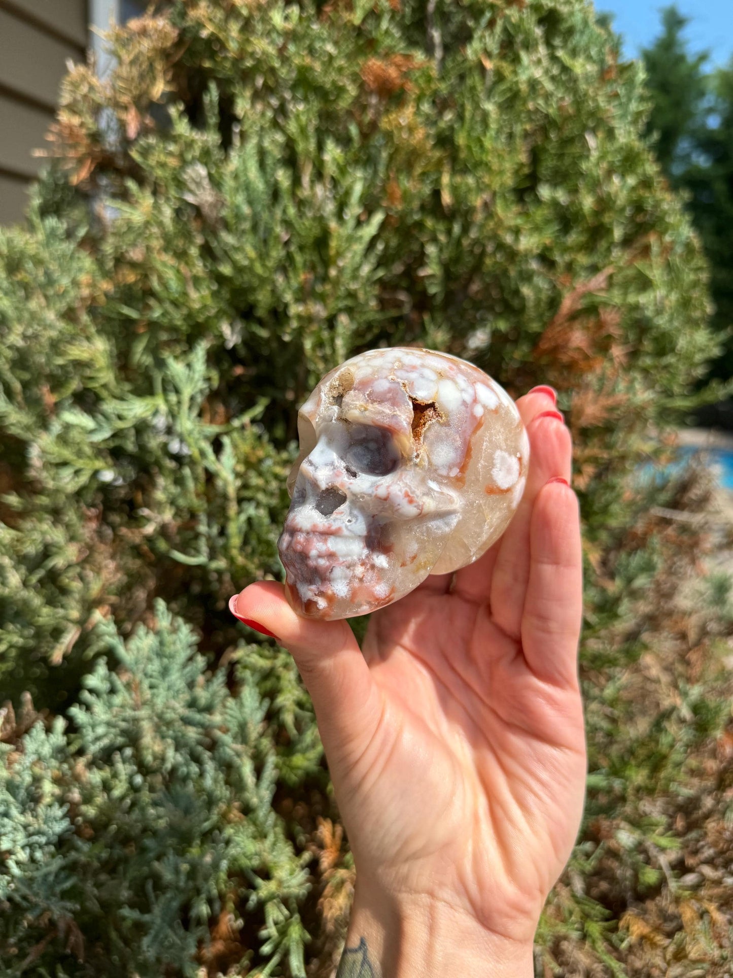 Druzy Cherry Blossom Flower Agate Skull Carving