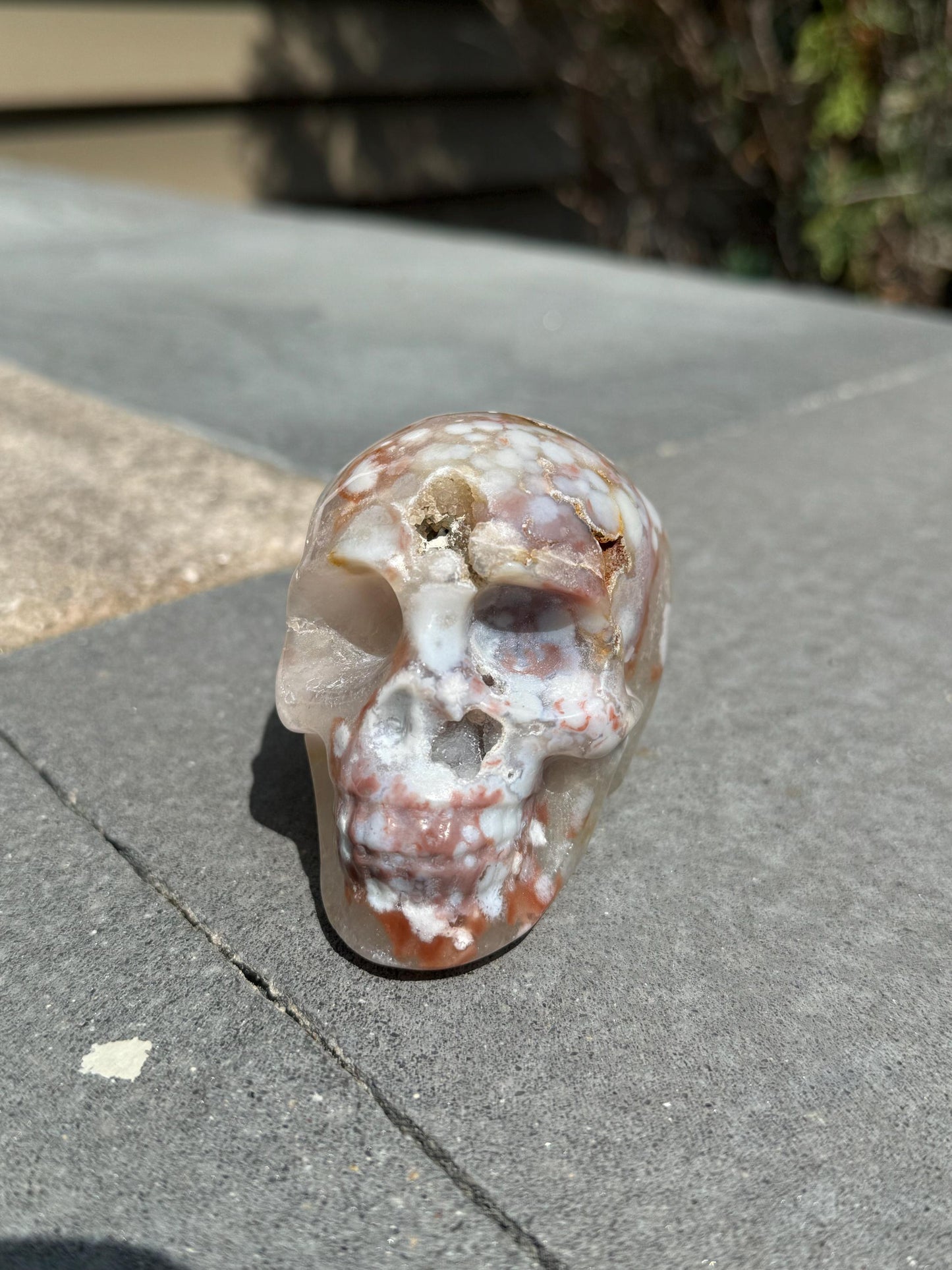 Druzy Cherry Blossom Flower Agate Skull Carving