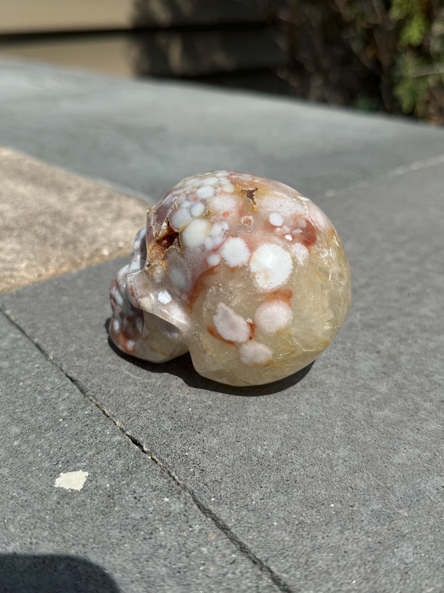 Druzy Cherry Blossom Flower Agate Skull Carving