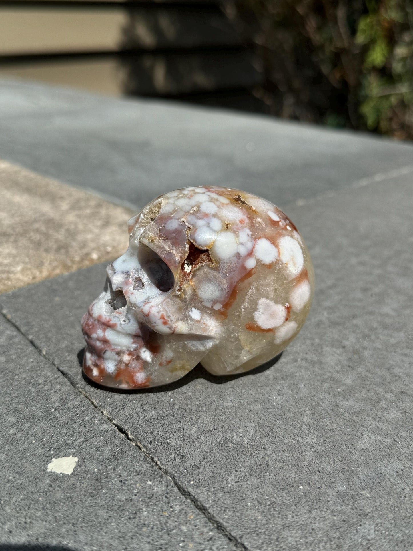 Druzy Cherry Blossom Flower Agate Skull Carving