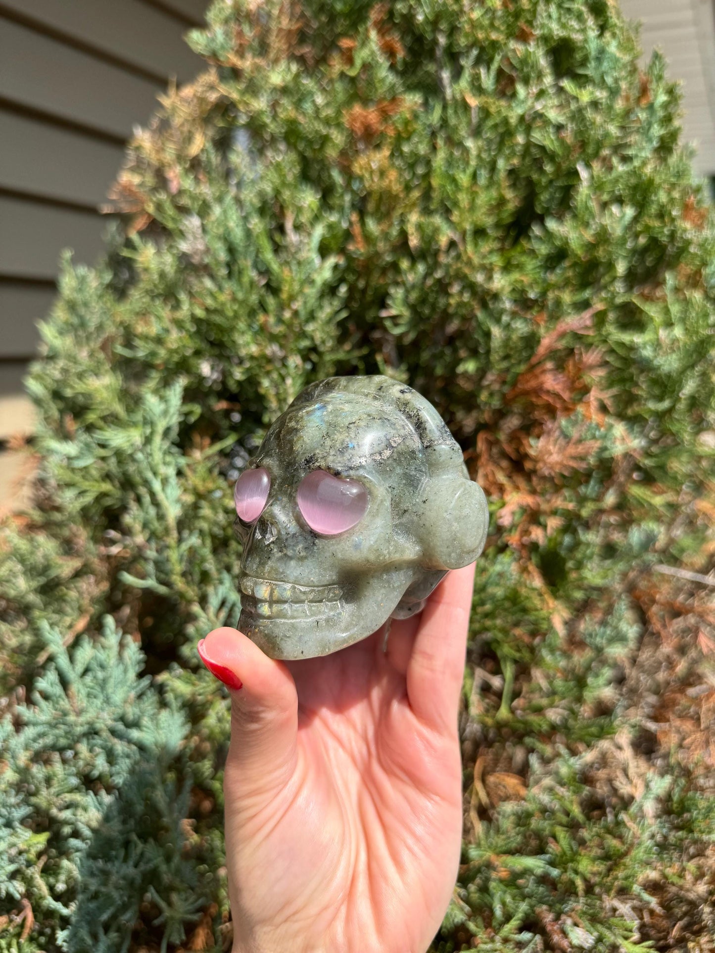 Labradorite Skull Carving w/ Pink Cats Eye Accents