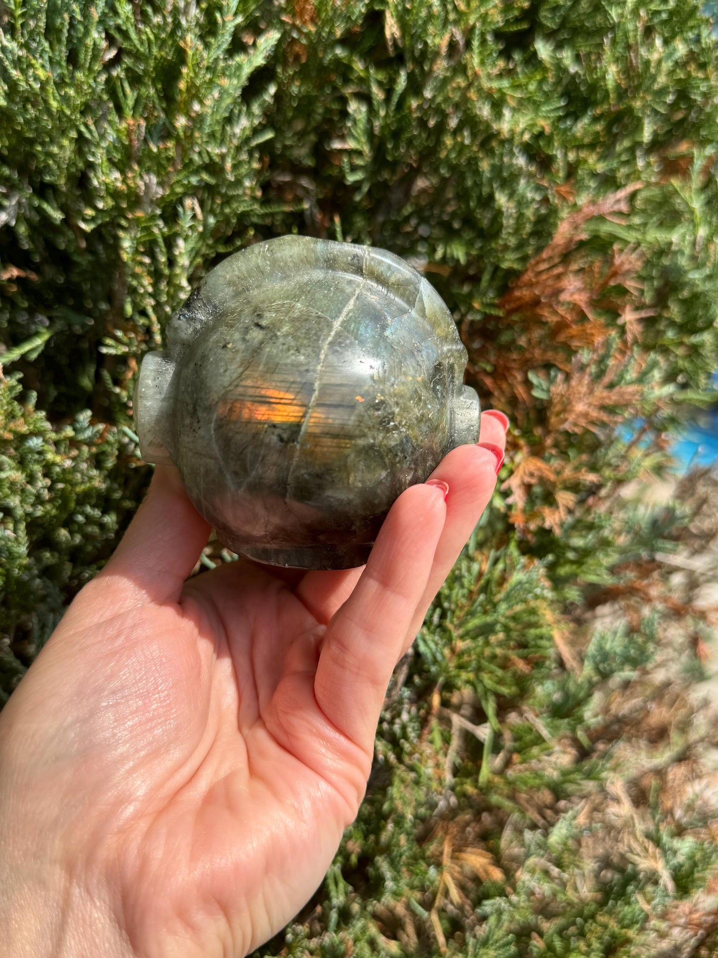 Labradorite Skull Carving w/ Pink Cats Eye Accents