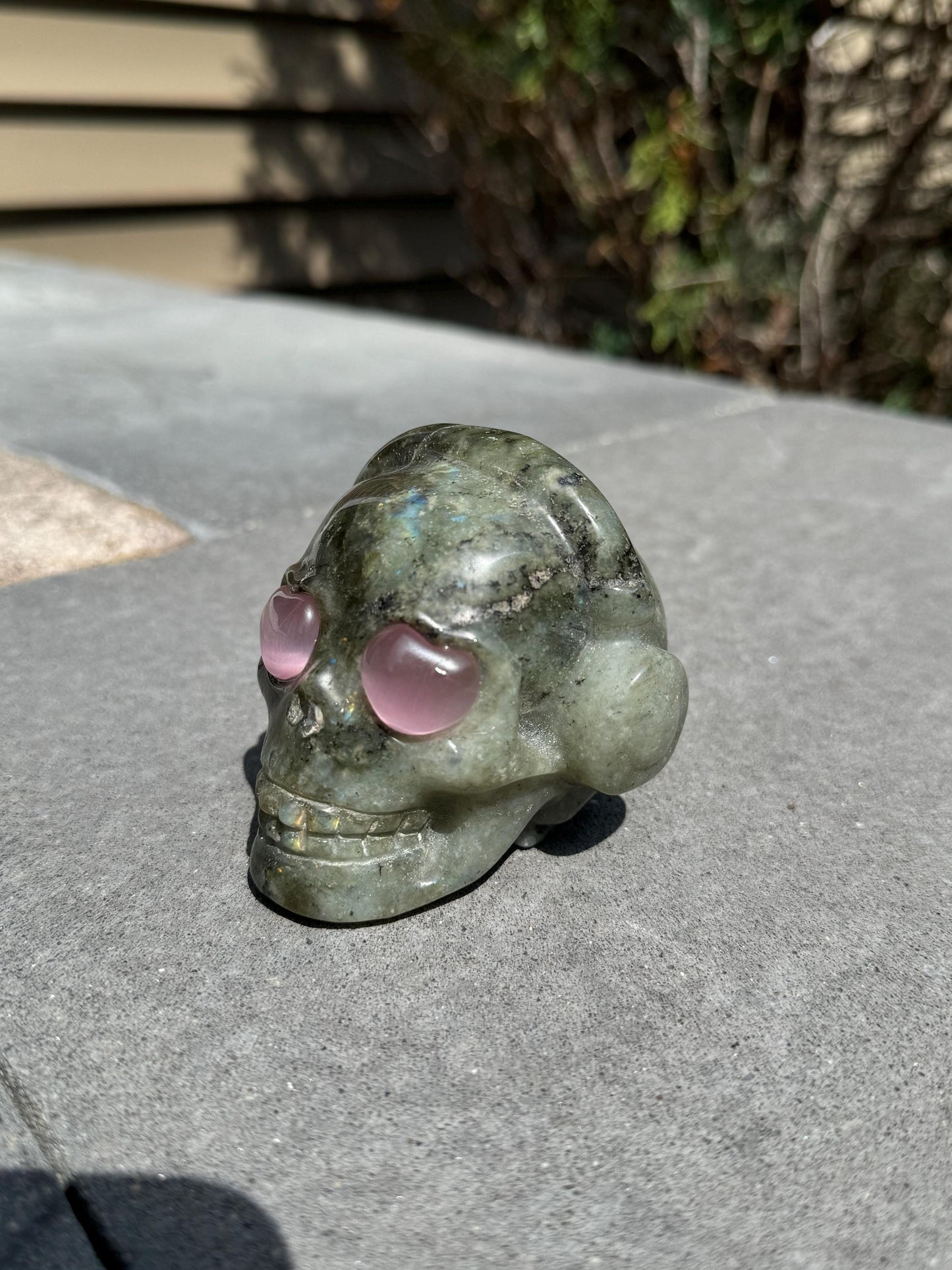 Labradorite Skull Carving w/ Pink Cats Eye Accents