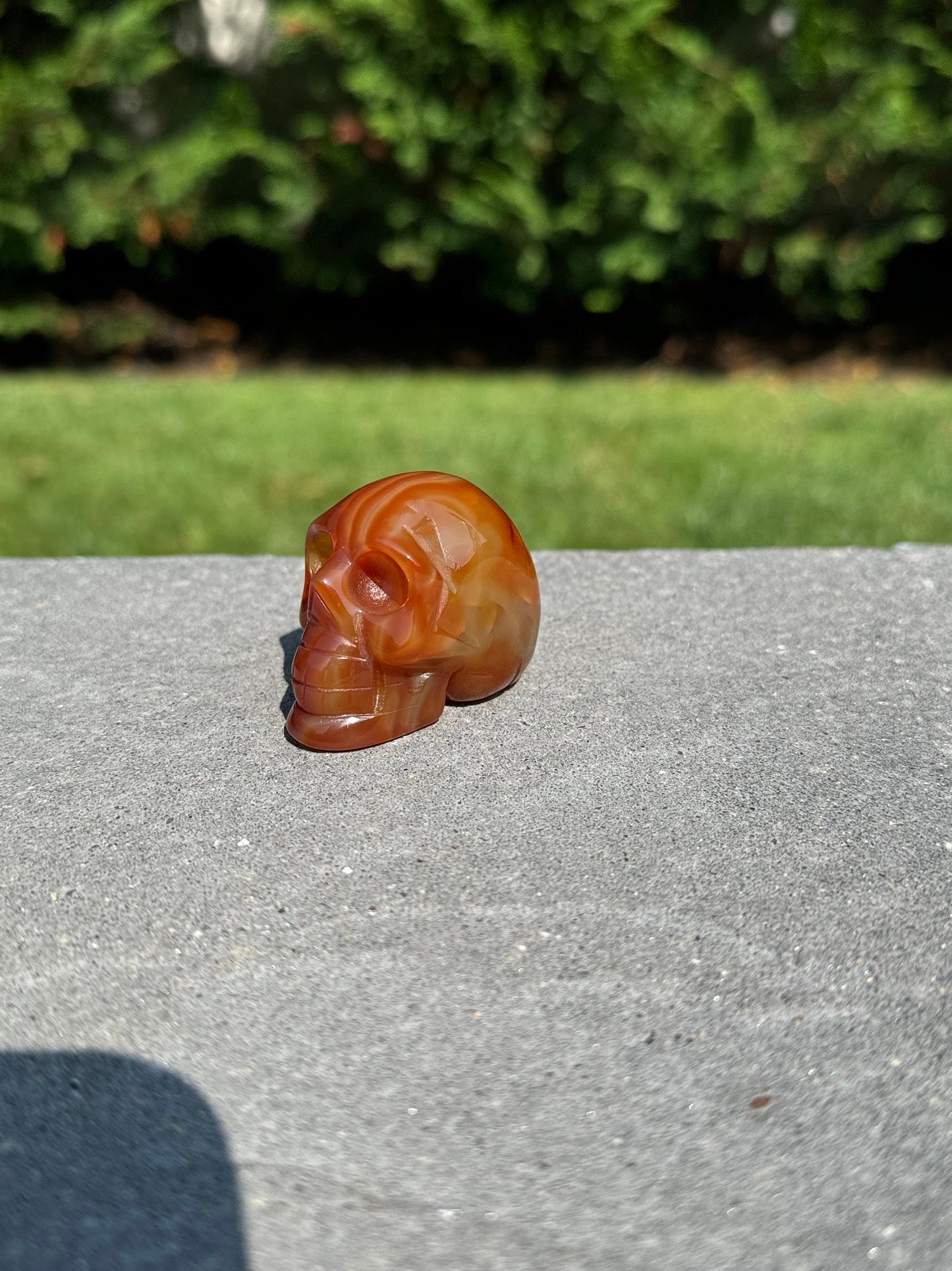 Banded Carnelian Skull Carving