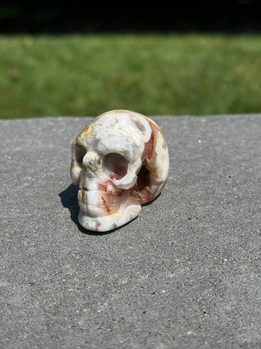 Druzy Crazy Lace Agate Skull