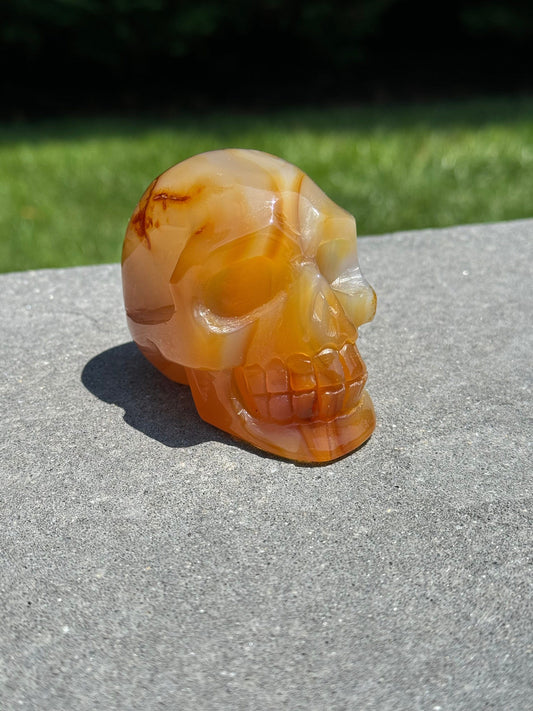Carnelian Skull Carving