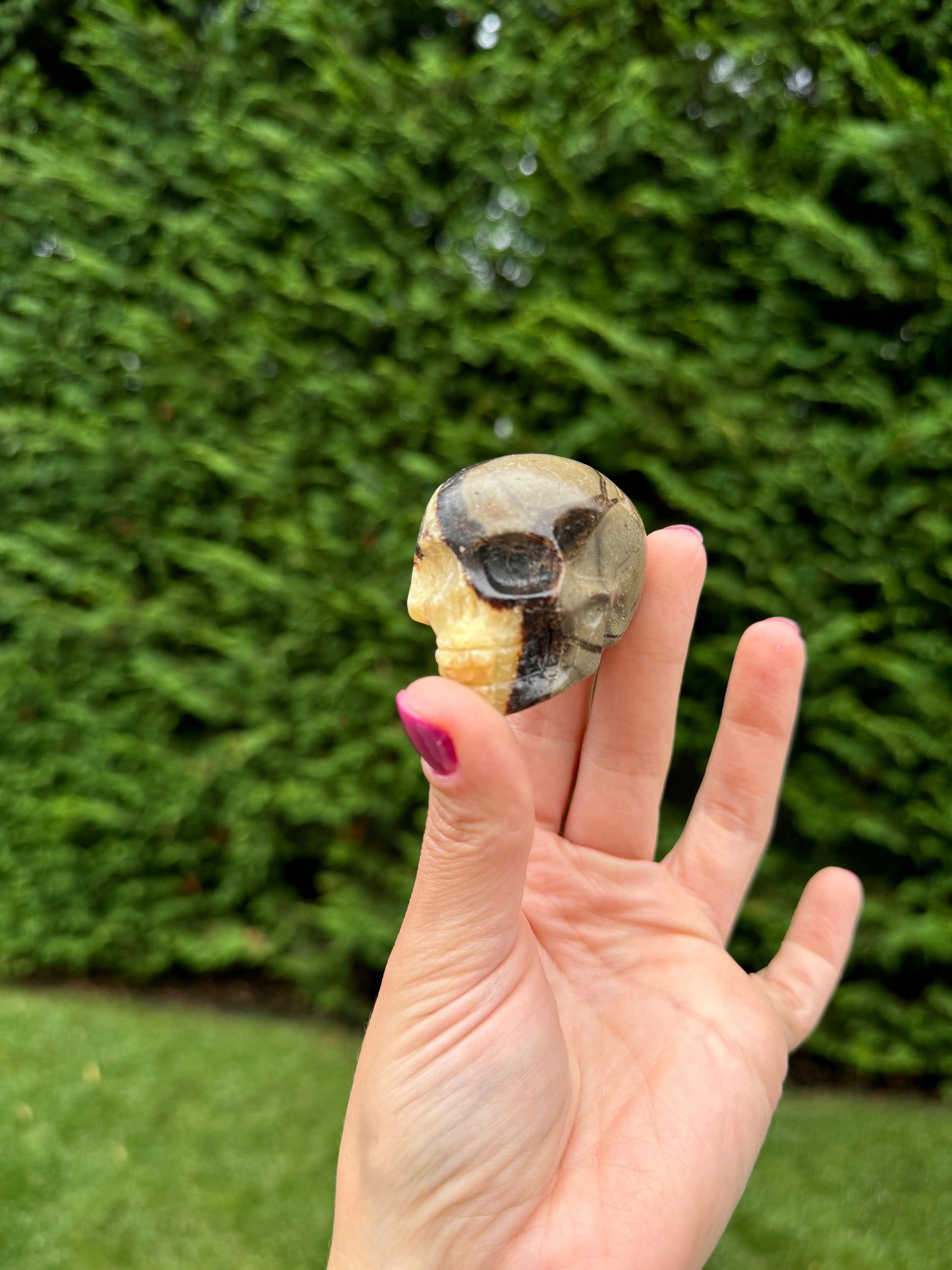 Septarian Skull Carving (2.15")