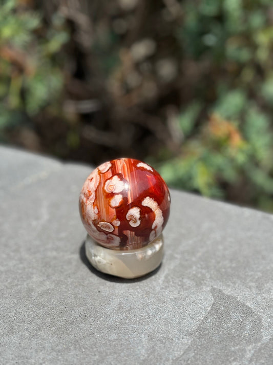 Carnelian & Flower Agate Sphere (59MM)