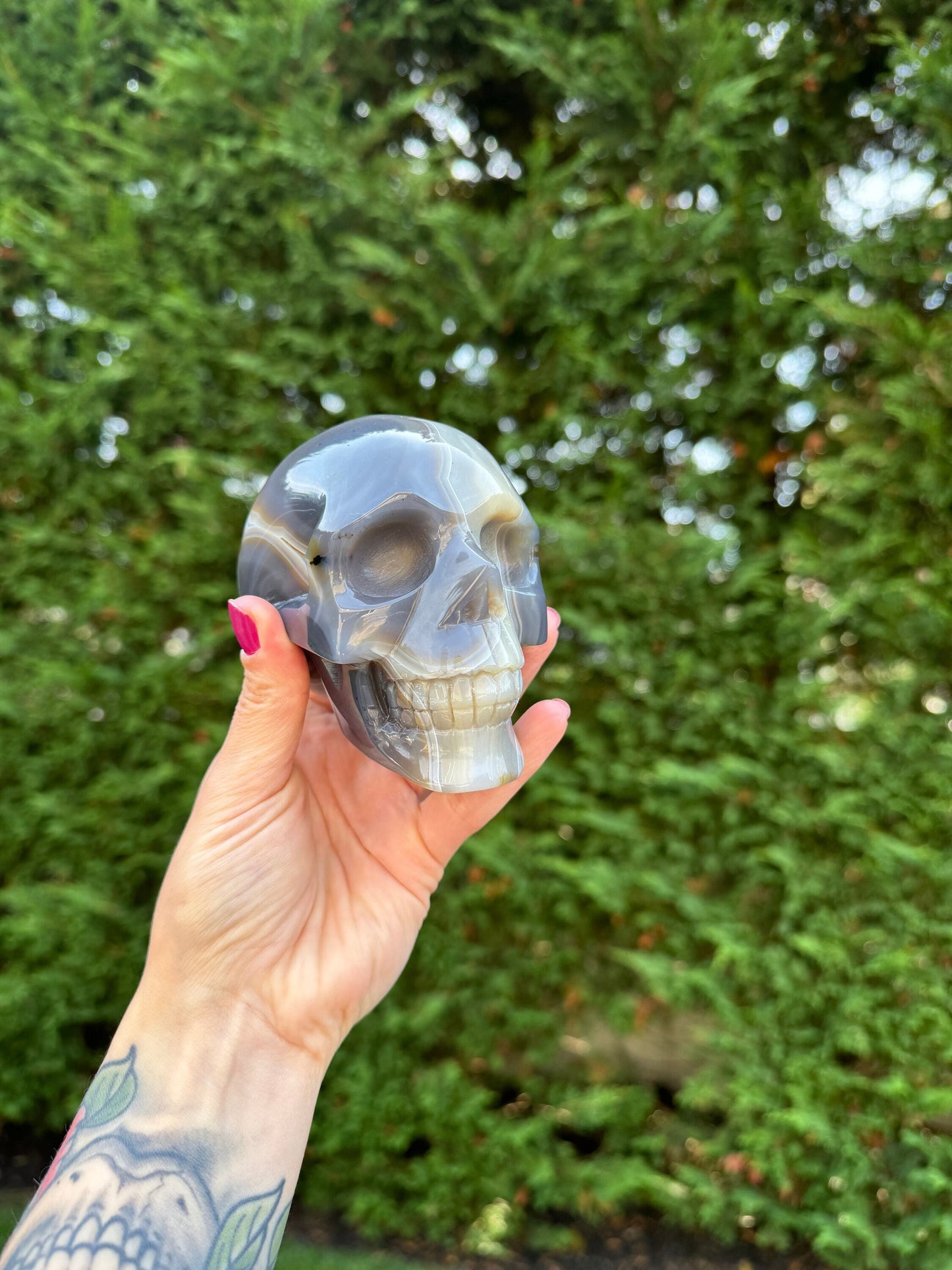 Druzy Banded Agate Dendritic Skull Carving (4.3")