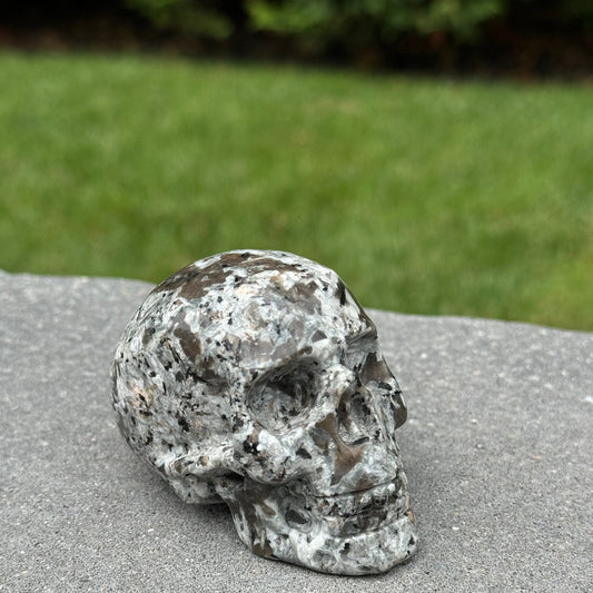 Yooperlite Skull Carving (3")