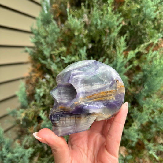Banded Fluorite Skull Carving (1.7lbs)