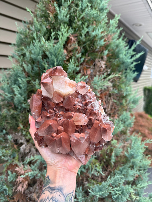 XL "Chocolate" Dogtooth Calcite Specimen