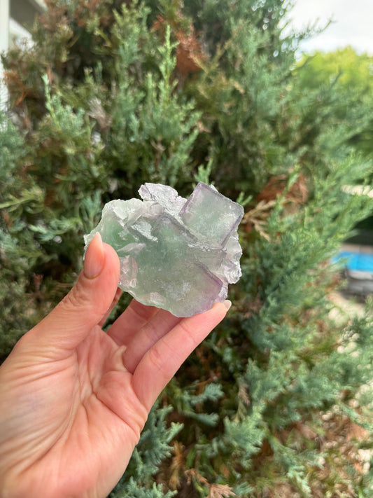 Green & Purple Fluorite Cubic Specimen (Hunan, China)