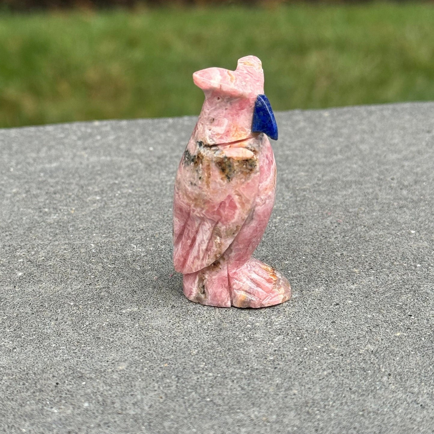 Rhodochrosite Owl Carving w/ Sodalite Beak