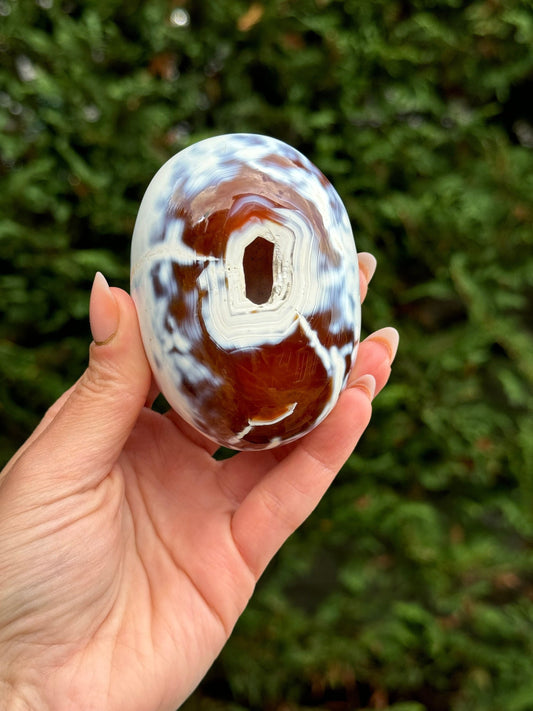 Druzy Orca Agate & Carnelian Freeform