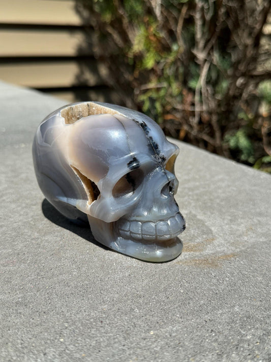Banded Dendritic Druzy Agate Skull Carving (3.88")