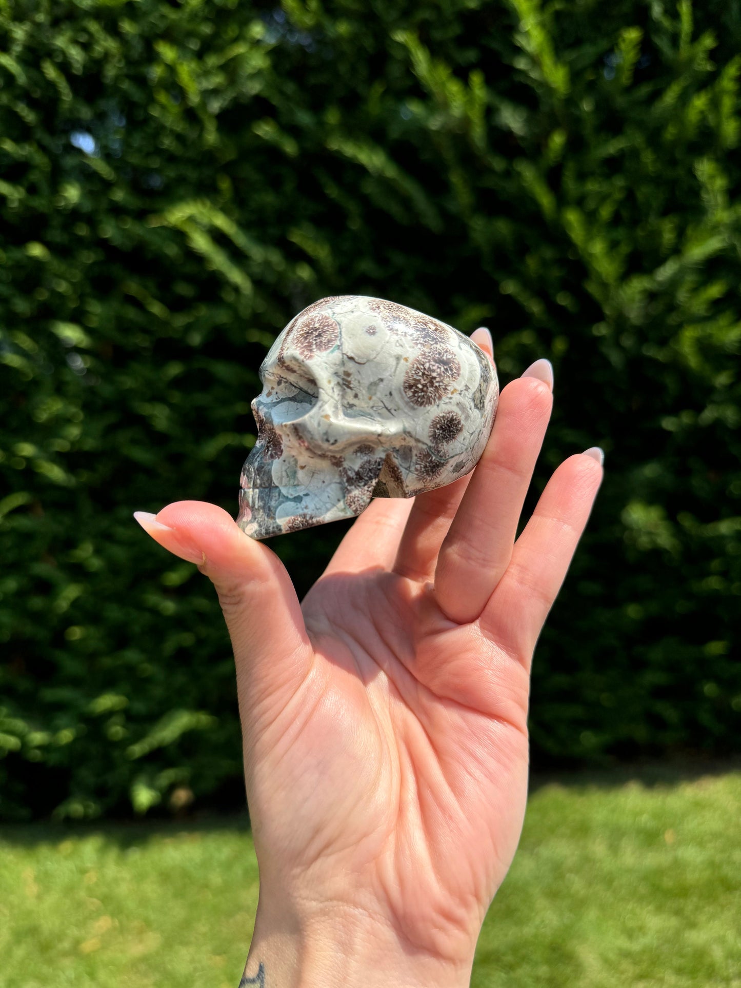 Green Sakura Jasper Skull Carving (2.68")