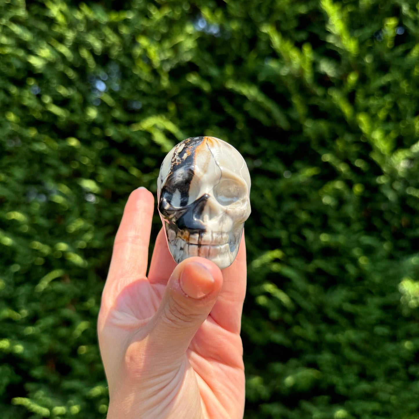 Chocolate Calcite Skull Carving