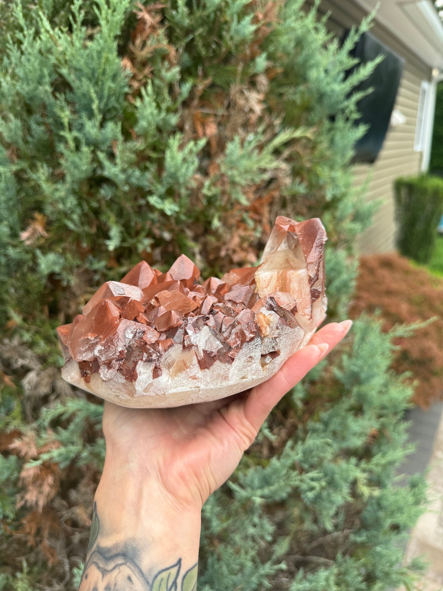 XL "Chocolate" Dogtooth Calcite Specimen