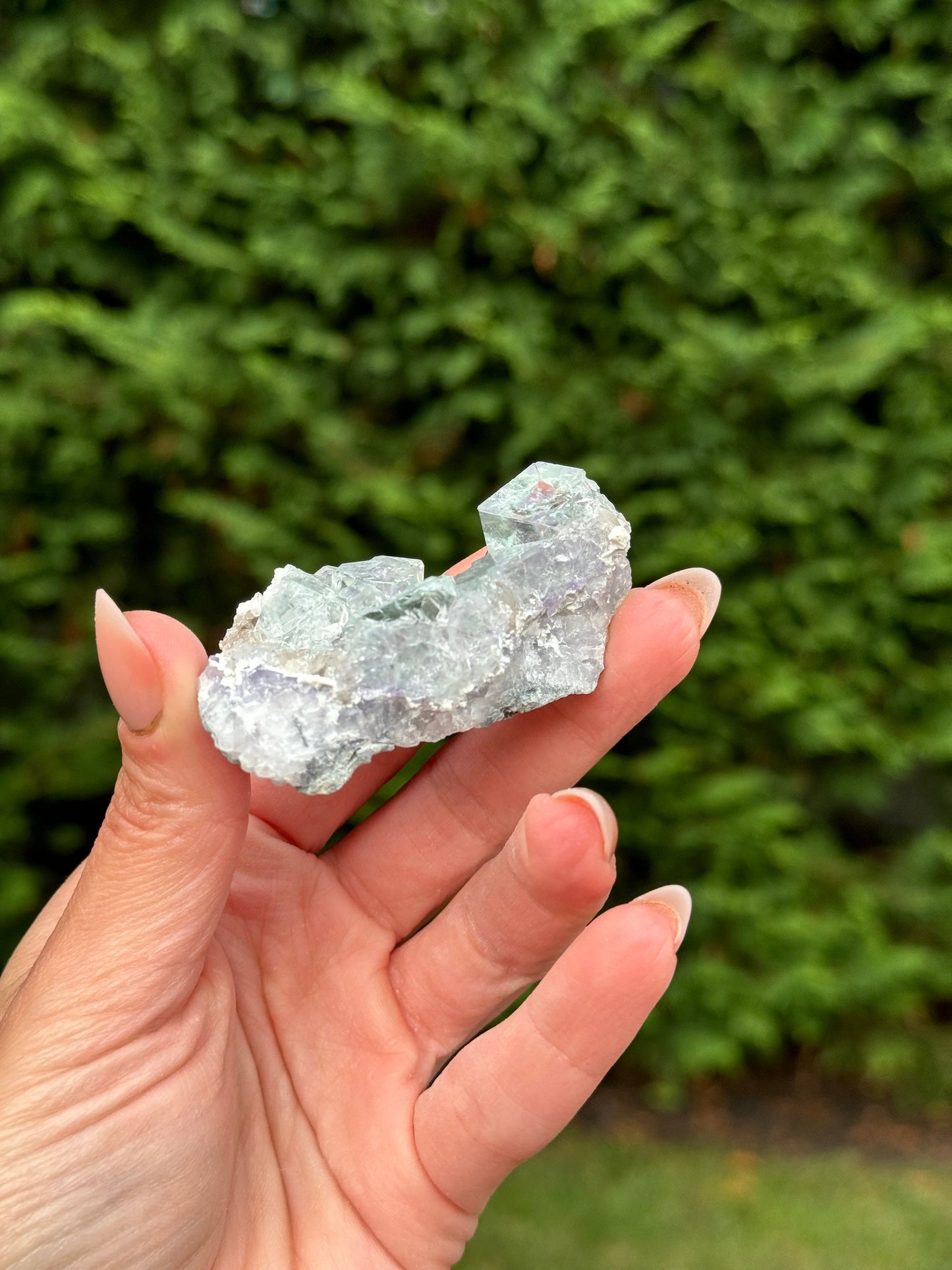 Blue & Purple Fluorite Cubic Specimen (Zhejiang, Hangzhou, China)