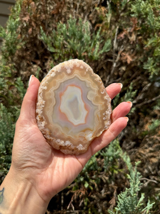Flower Agate Slab