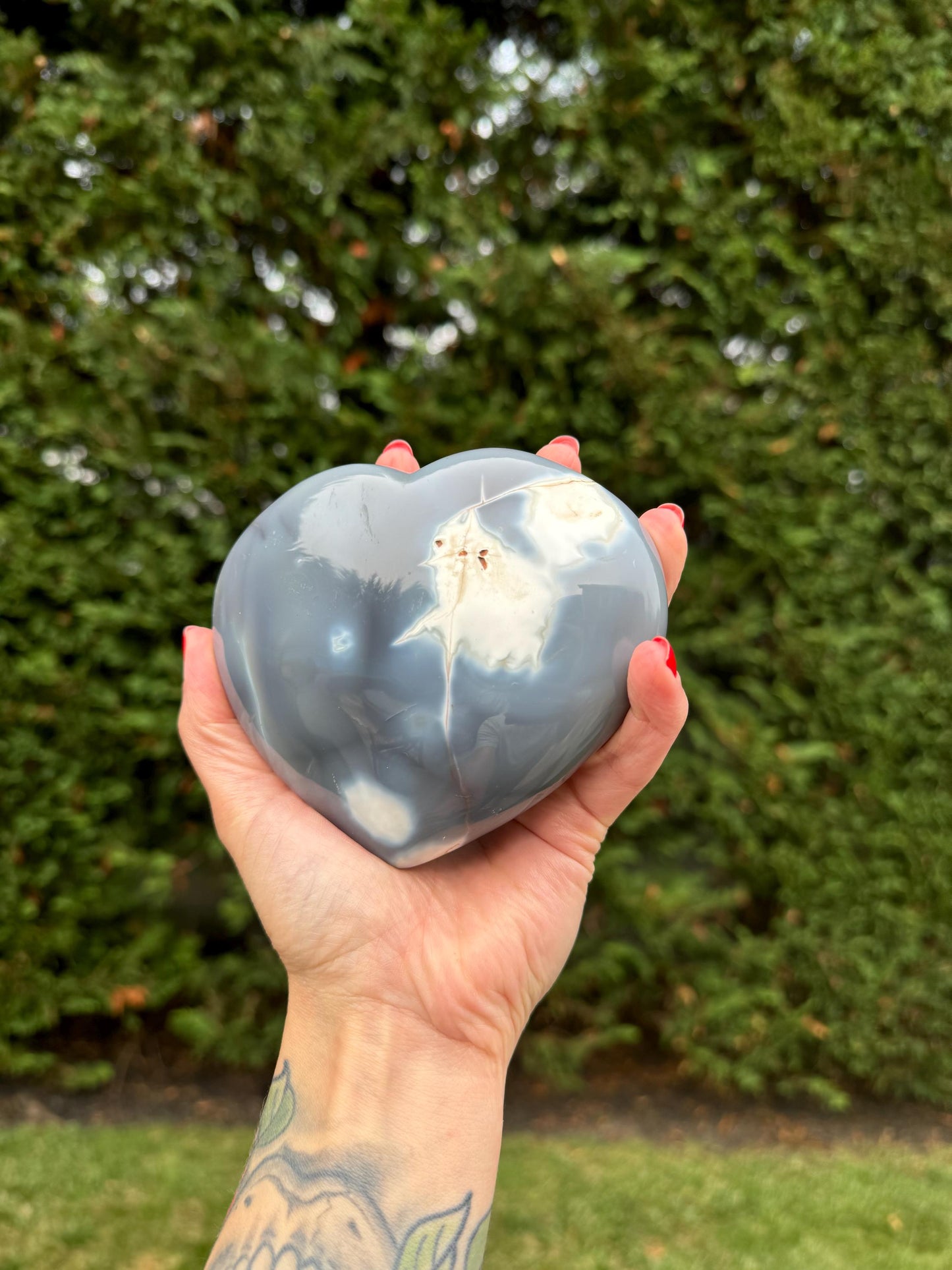 Orca Agate Heart Carving