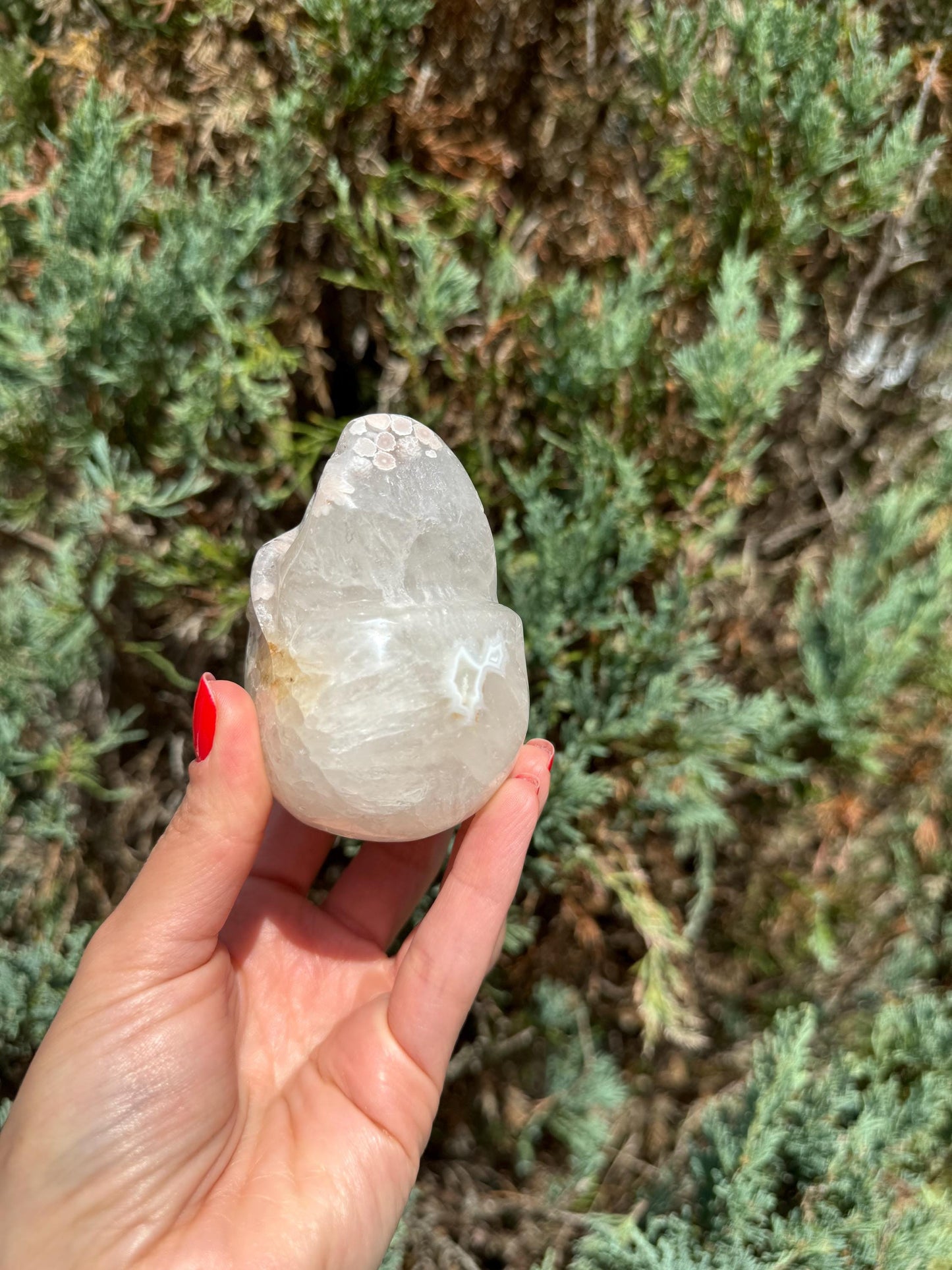 Flower Agate & Quartz Skull Carving