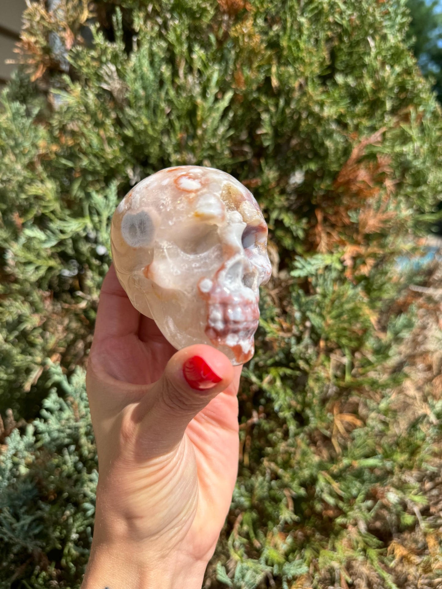 Druzy Cherry Blossom Flower Agate Skull Carving