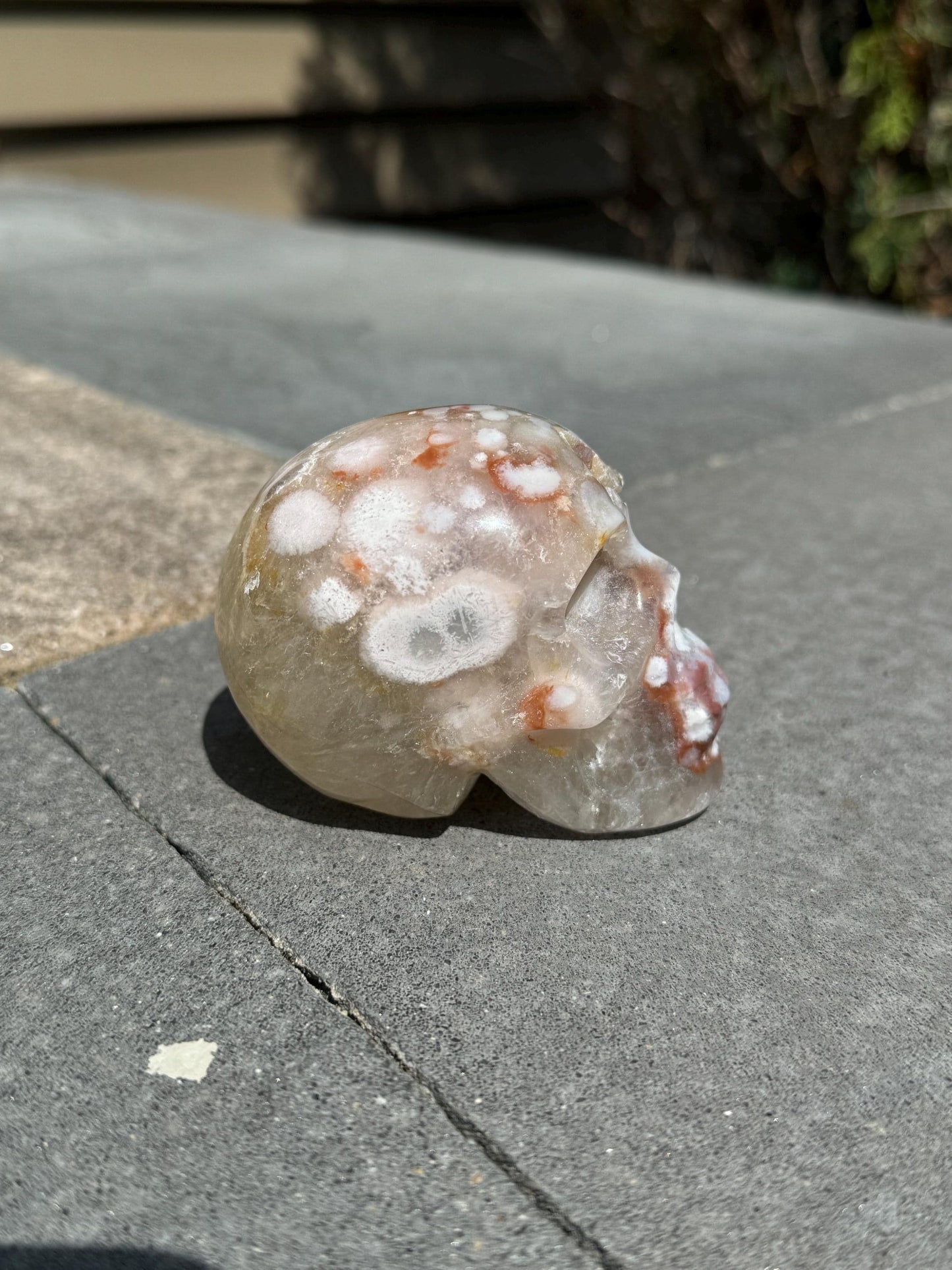 Druzy Cherry Blossom Flower Agate Skull Carving