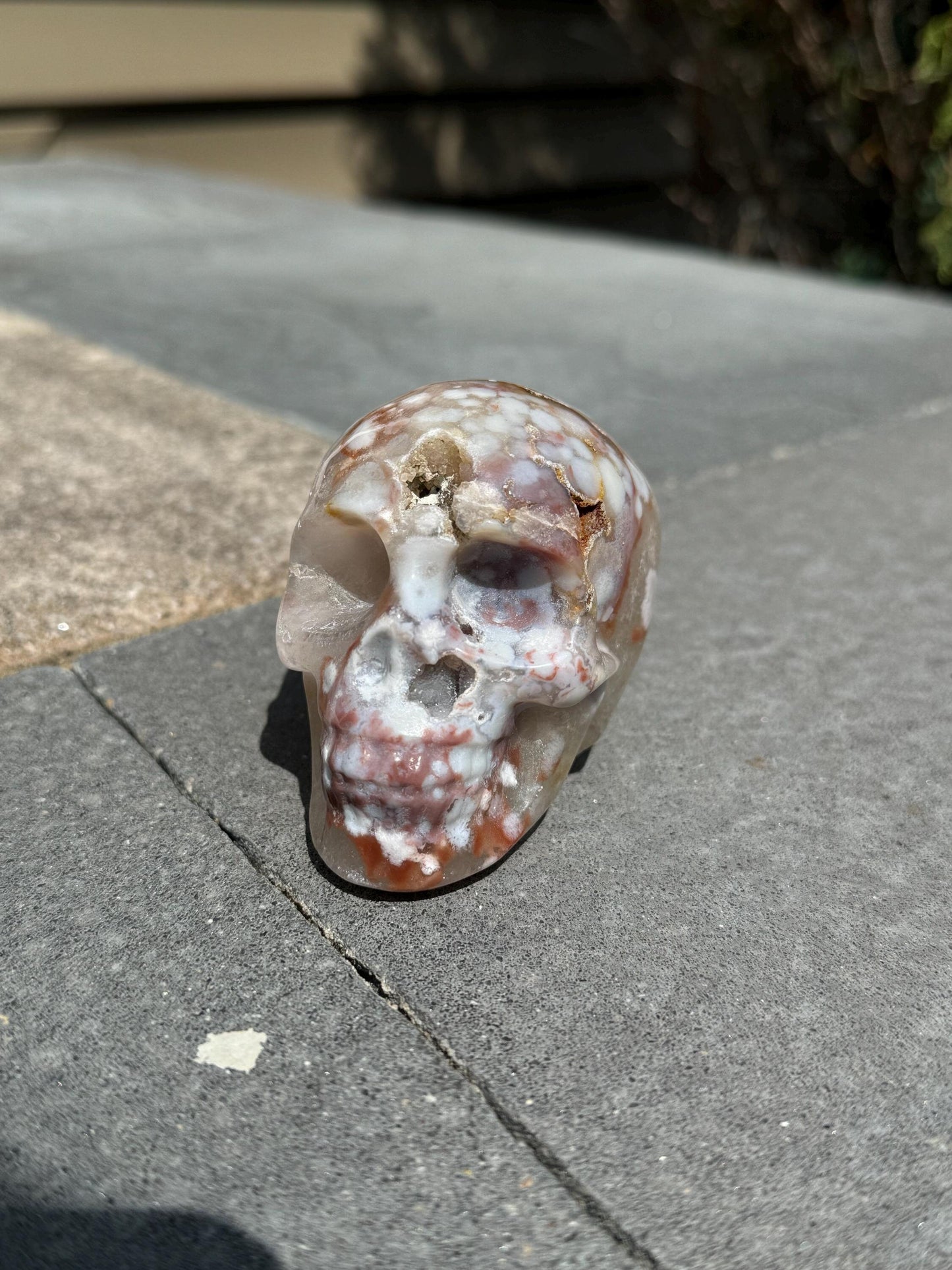 Druzy Cherry Blossom Flower Agate Skull Carving