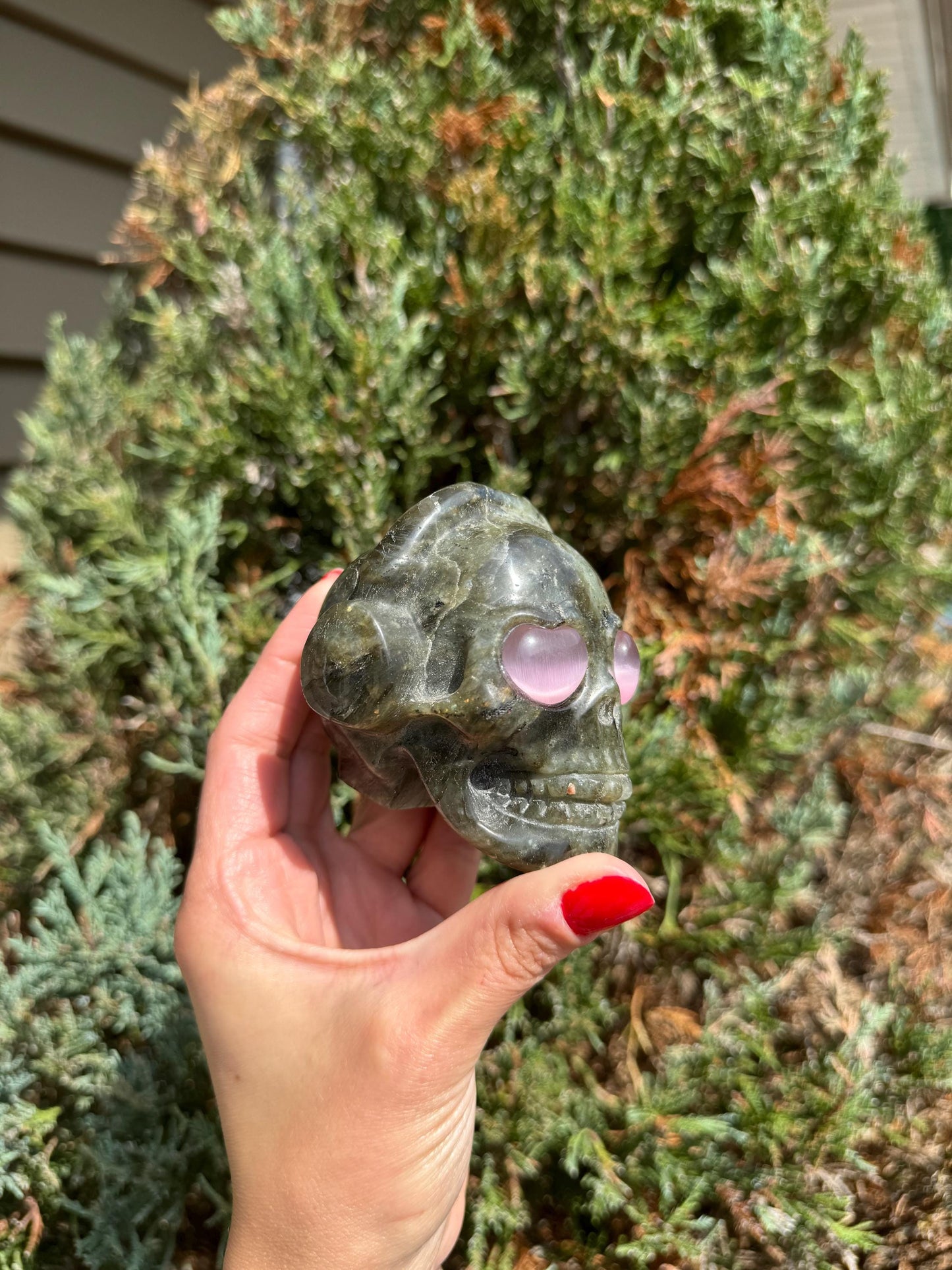 Labradorite Skull Carving w/ Pink Cats Eye Accents