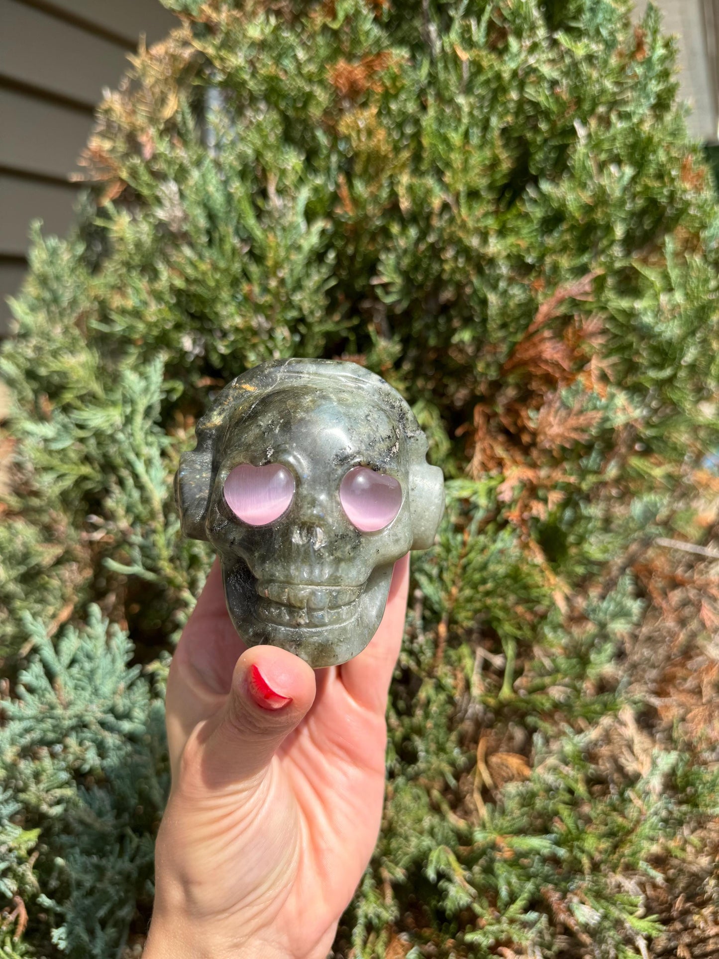 Labradorite Skull Carving w/ Pink Cats Eye Accents