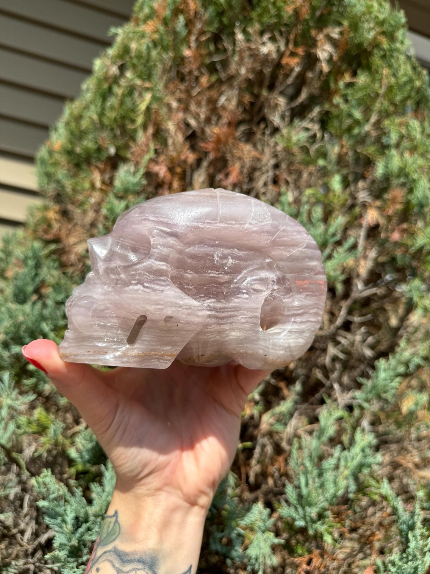 XL Pastel Lavender Dendritic Fluorite Horned Skull Carving (5")