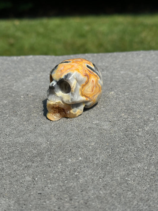 Druzy Crazy Lace Agate Skull