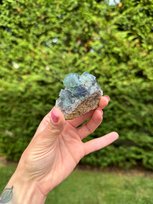 Green & Purple Fluorite Cubic Specimen (Diana Maria Mine, UK)
