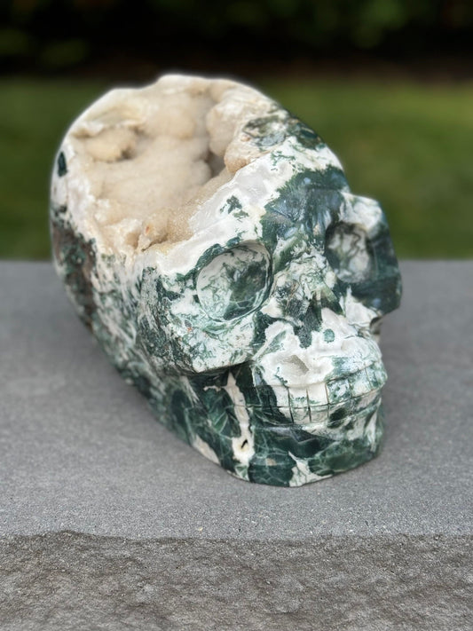 XL Red Moss Agate Hi-Def Skull Carving (17.5lbs)