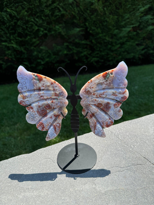 Ocean Jasper Butterfly Wings