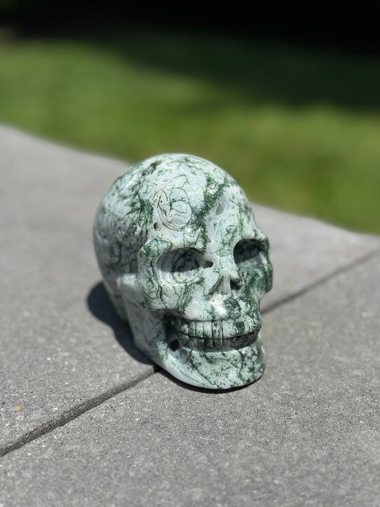Tree Agate Hi-Def Skull Carving (4.5")