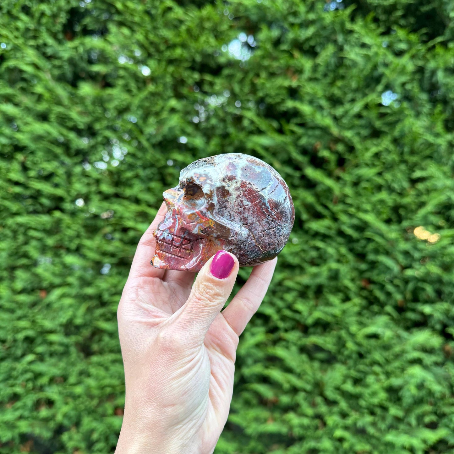 Mexican Crazy Lace Agate Skull Carving