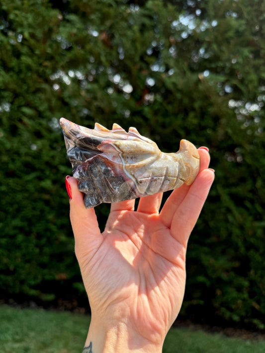 Mexican Crazy Lace Agate Dragon Head Carving