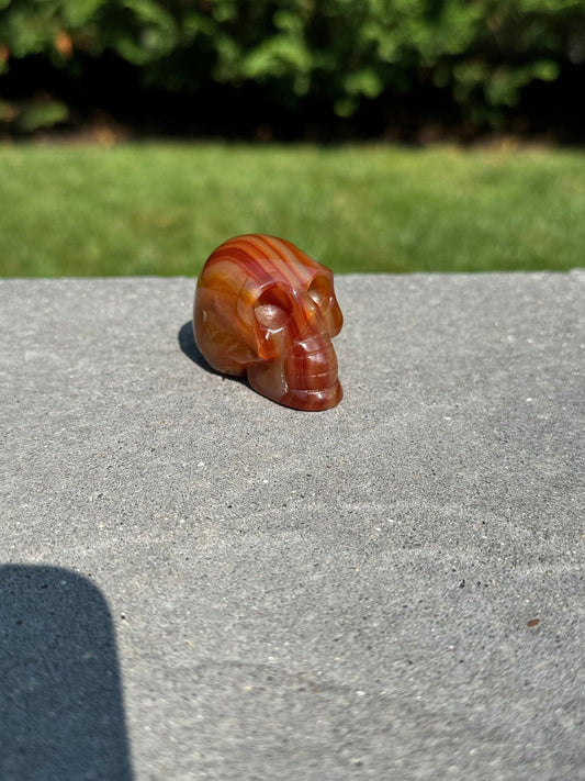 Banded Carnelian Skull Carving