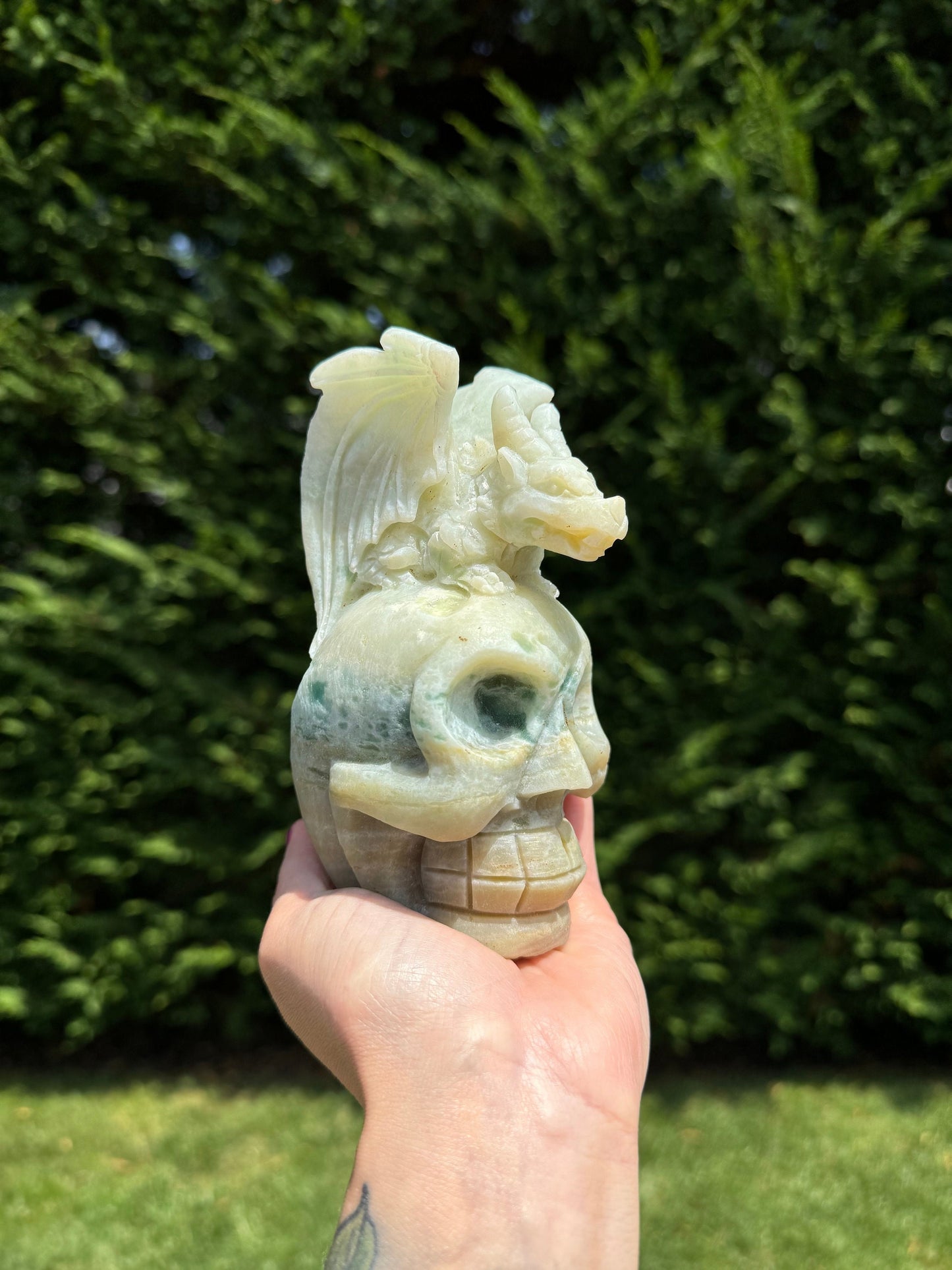Caribbean Calcite Skull & Dragon Carving