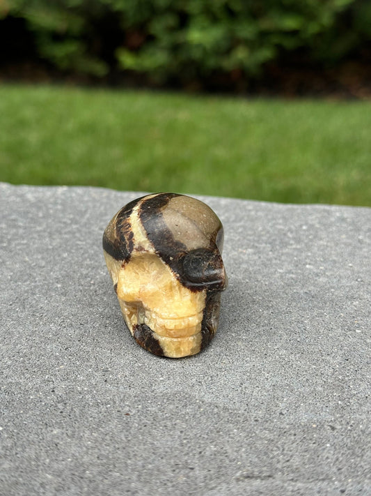 Septarian Skull Carving (2.15")